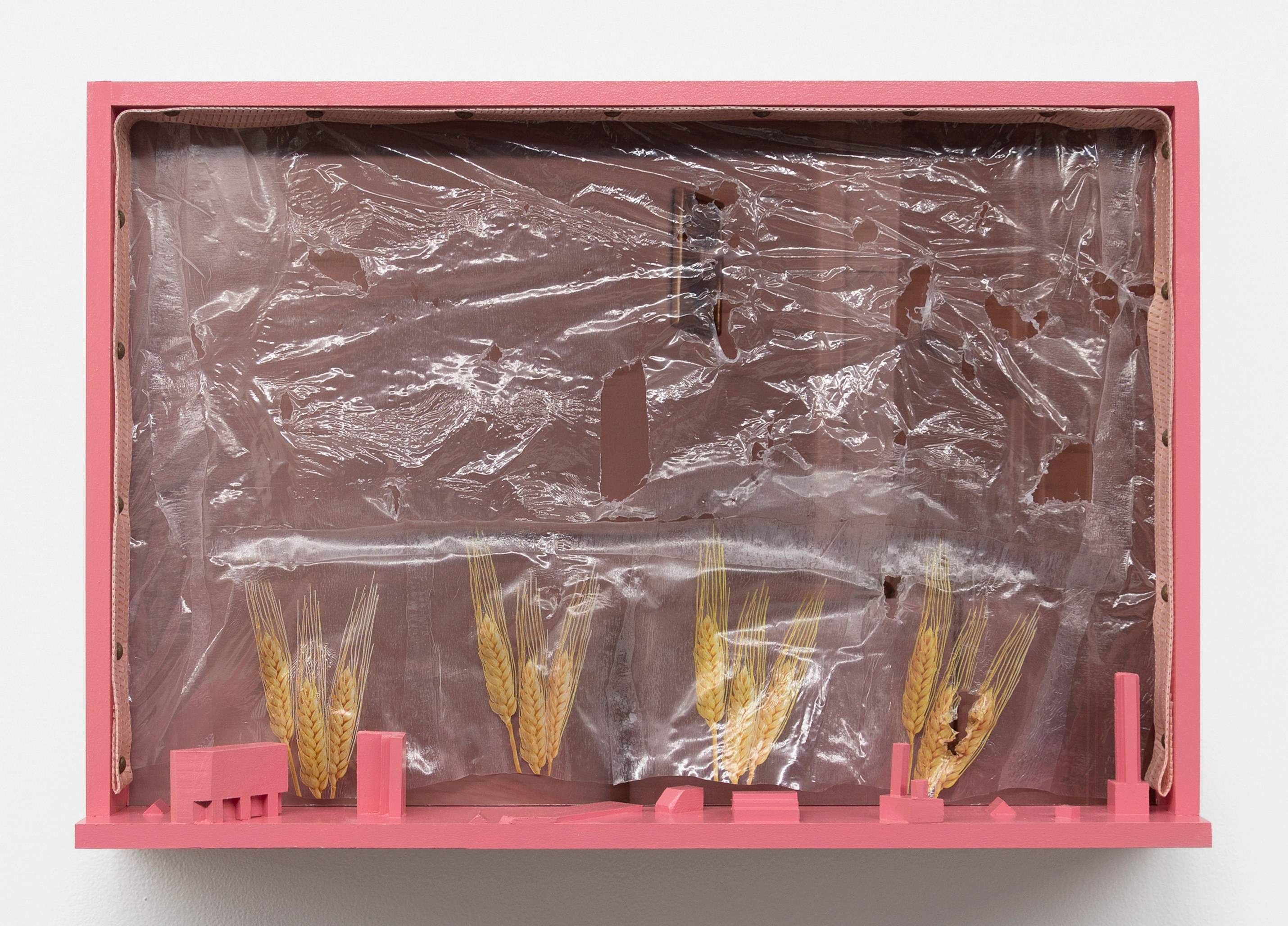 Naoki Sutter-Shudo, Parade at Derosia, photo 20