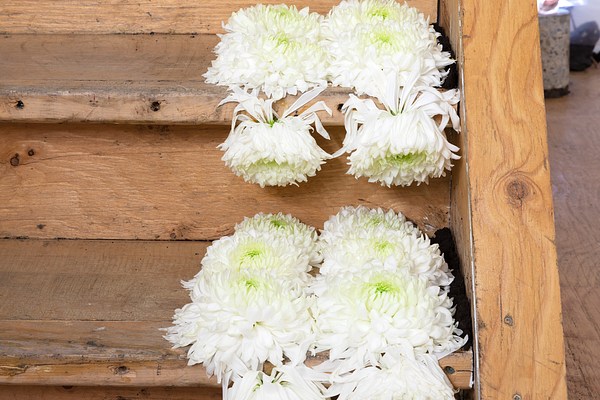 Image 45 of 57