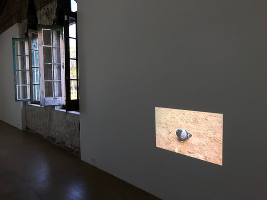 Image 2 of 12