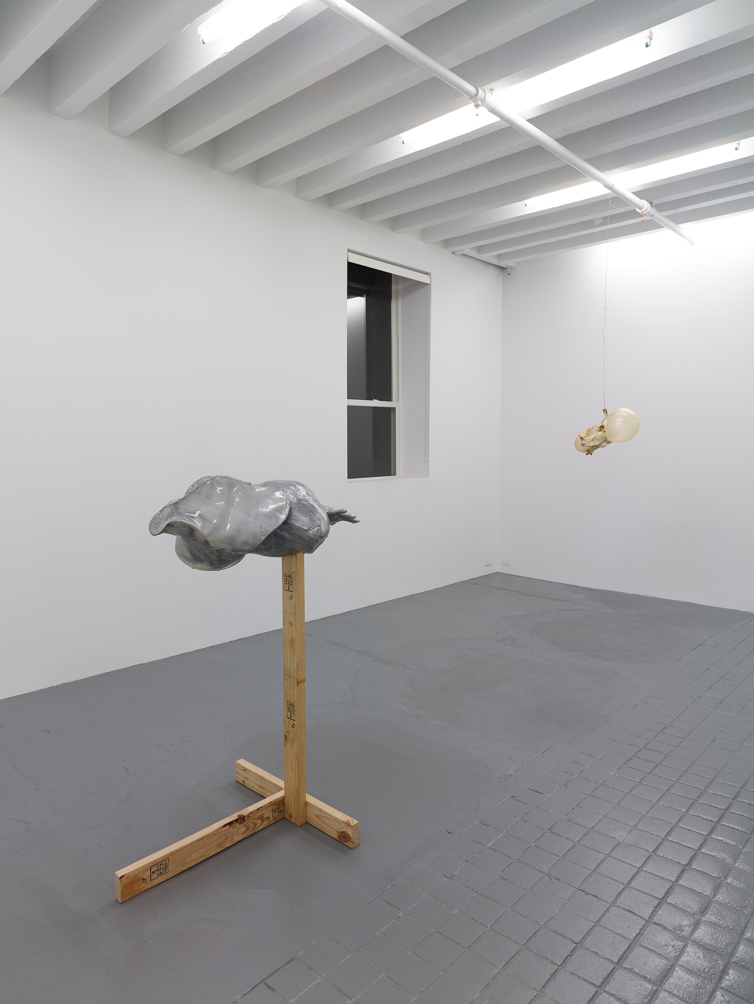 Jean-Luc Moulène, Torture Concrete at Miguel Abreu, New York (88 Eldridge Street, 36 Orchard Street), photo 19