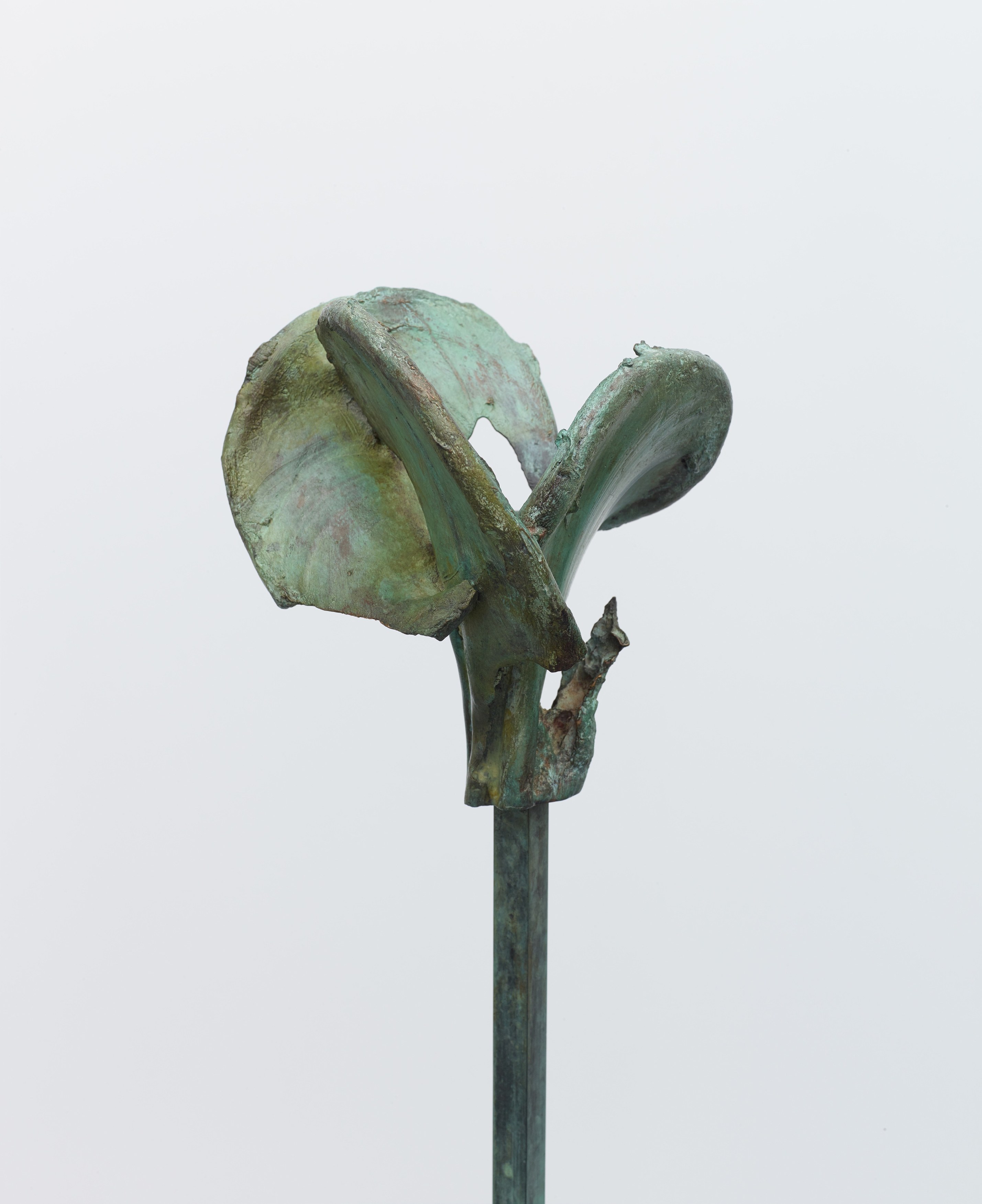 Jean-Luc Moulène, Torture Concrete at Miguel Abreu, New York (88 Eldridge Street, 36 Orchard Street), photo 27