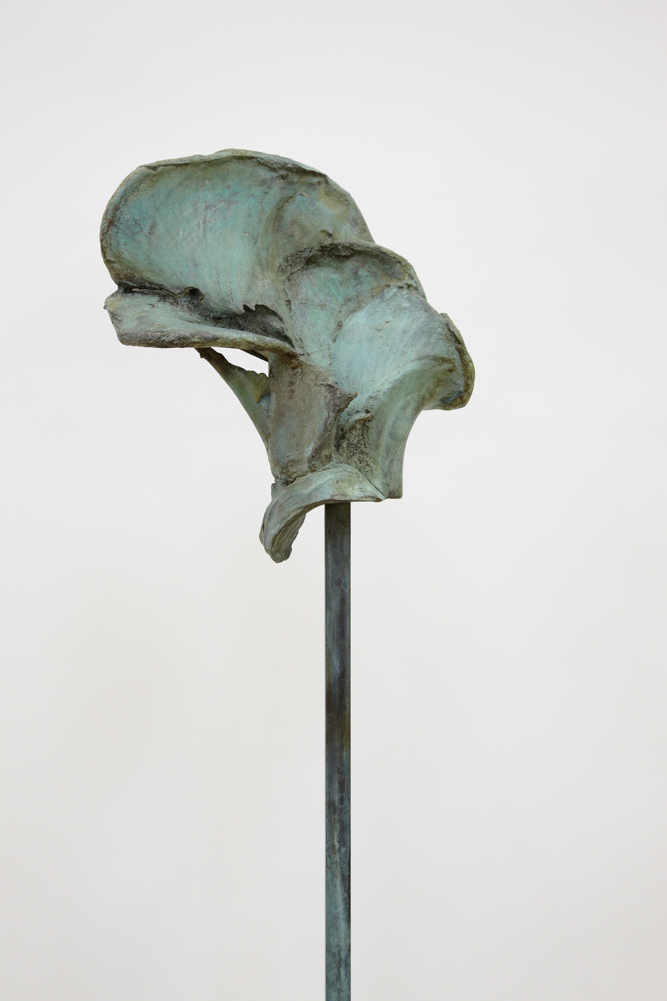 Jean-Luc Moulène, Torture Concrete at Miguel Abreu, New York (88 Eldridge Street, 36 Orchard Street), photo 29