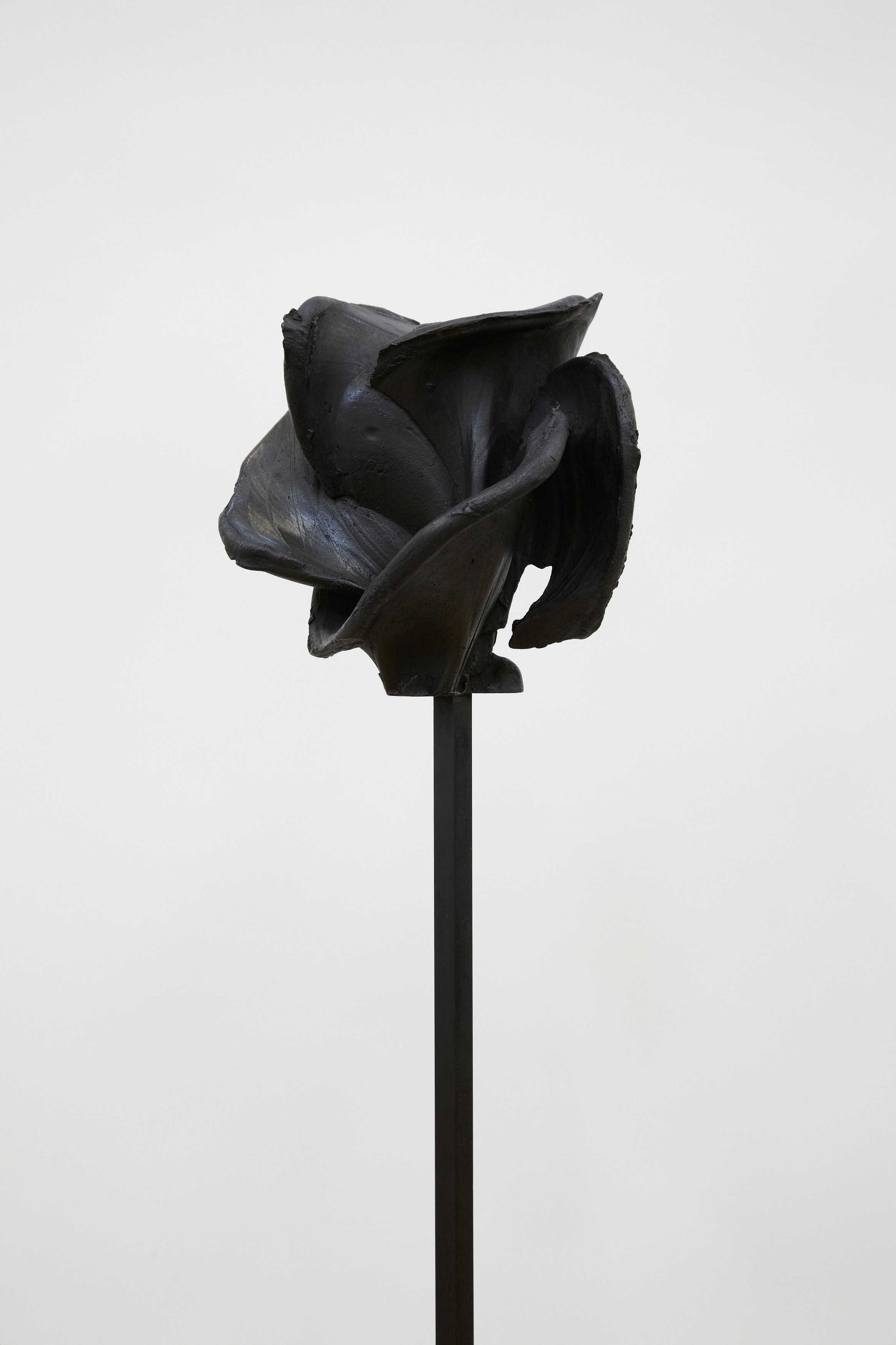 Jean-Luc Moulène, Torture Concrete at Miguel Abreu, New York (88 Eldridge Street, 36 Orchard Street), photo 30