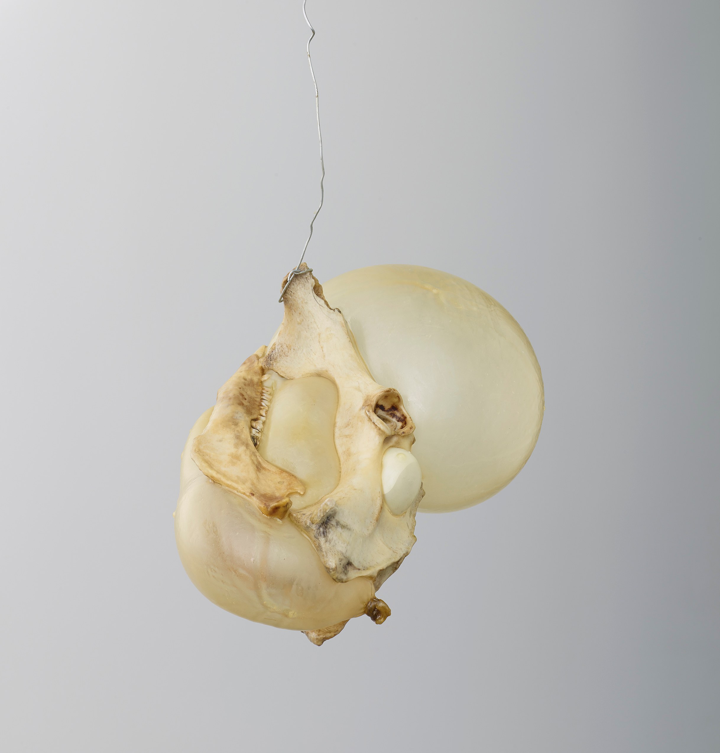 Jean-Luc Moulène, Torture Concrete at Miguel Abreu, New York (88 Eldridge Street, 36 Orchard Street), photo 41
