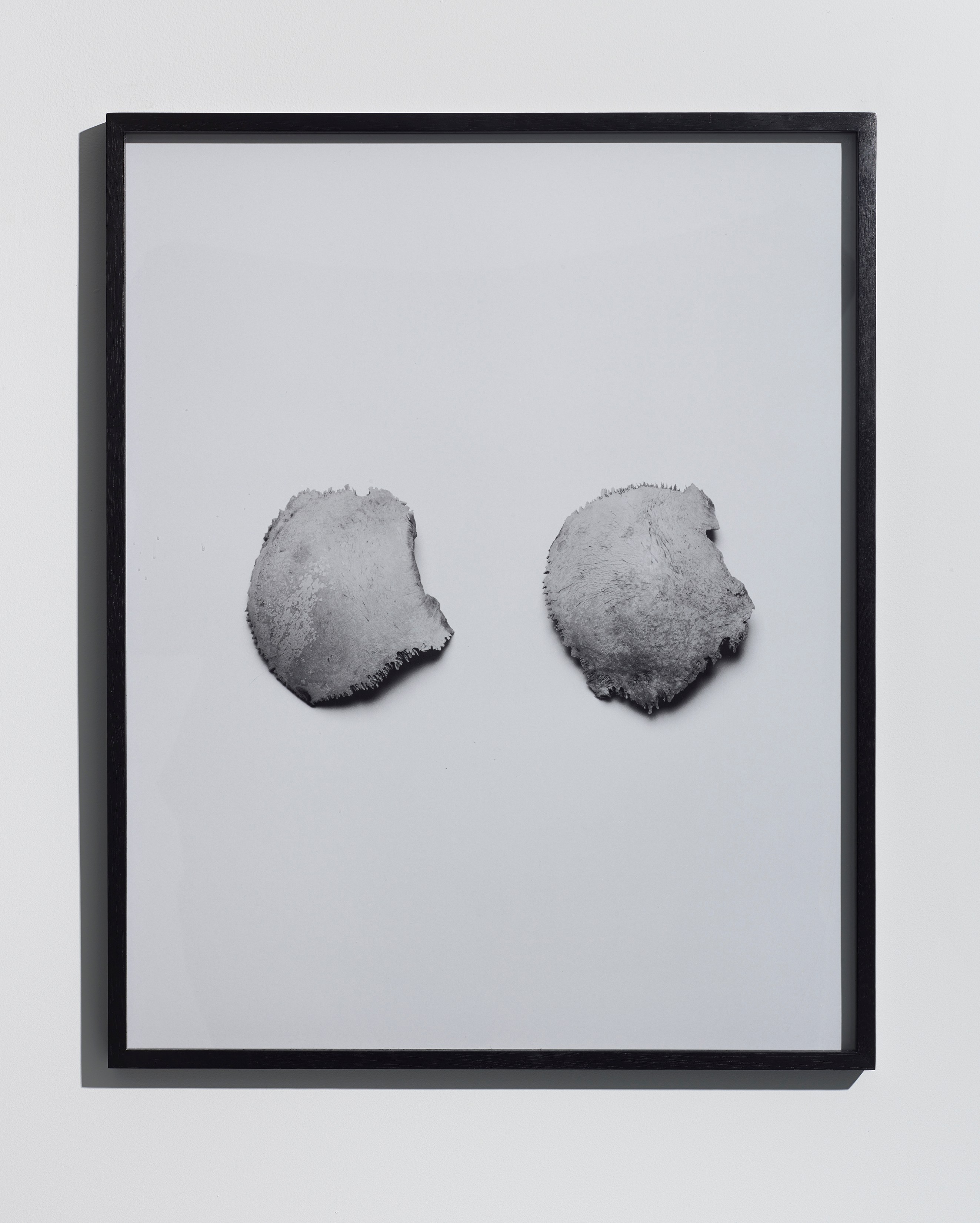 Jean-Luc Moulène, Torture Concrete at Miguel Abreu, New York (88 Eldridge Street, 36 Orchard Street), photo 42