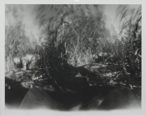 Image 27 of 45