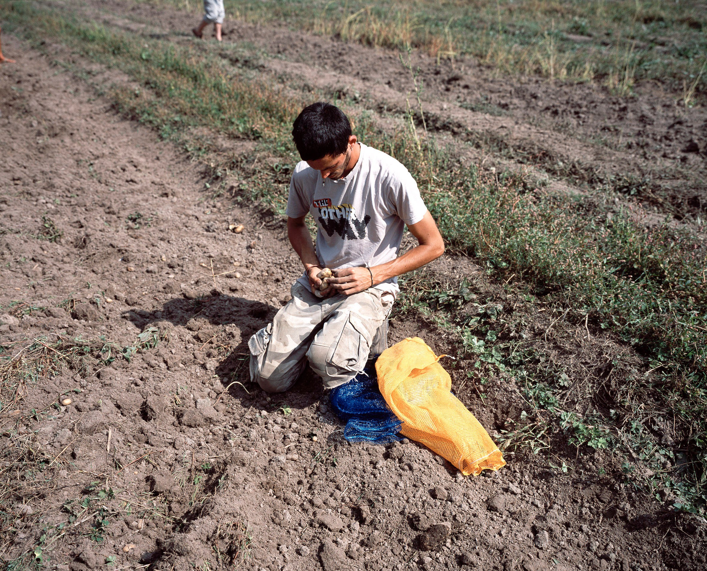 Bruno Serralongue, Chemins cherchés, chemins perdus, transgressions at Air de Paris, photo 22