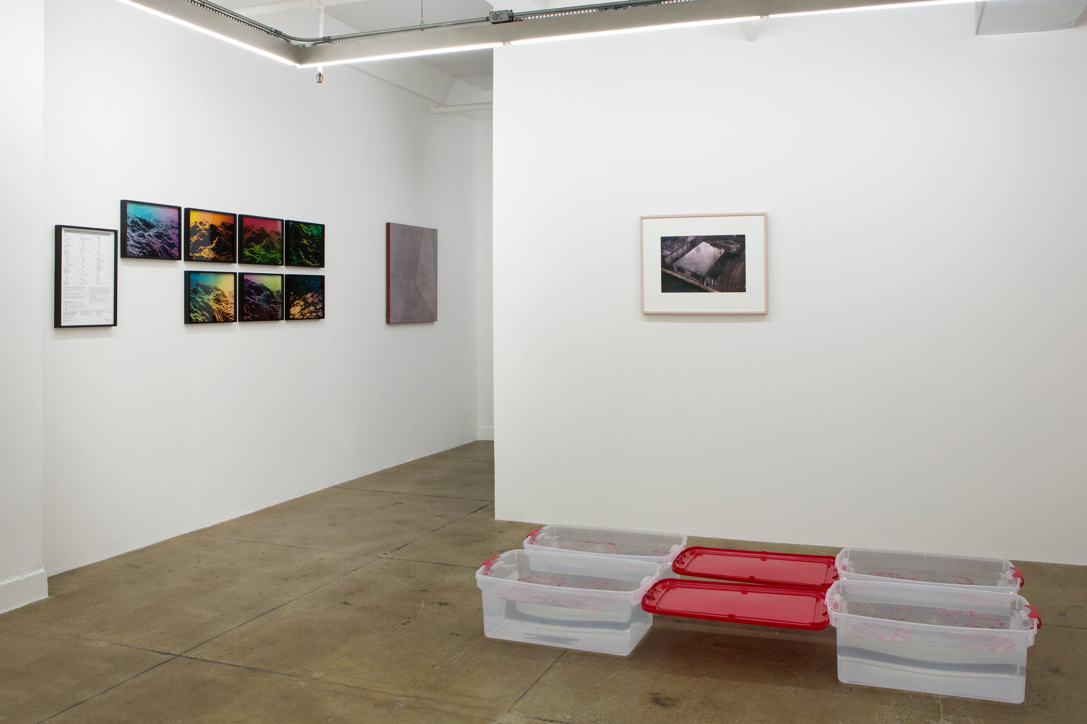 Fearful Symmetry, Fearful Symmetry at Galerie Balice Hertling, photo 2