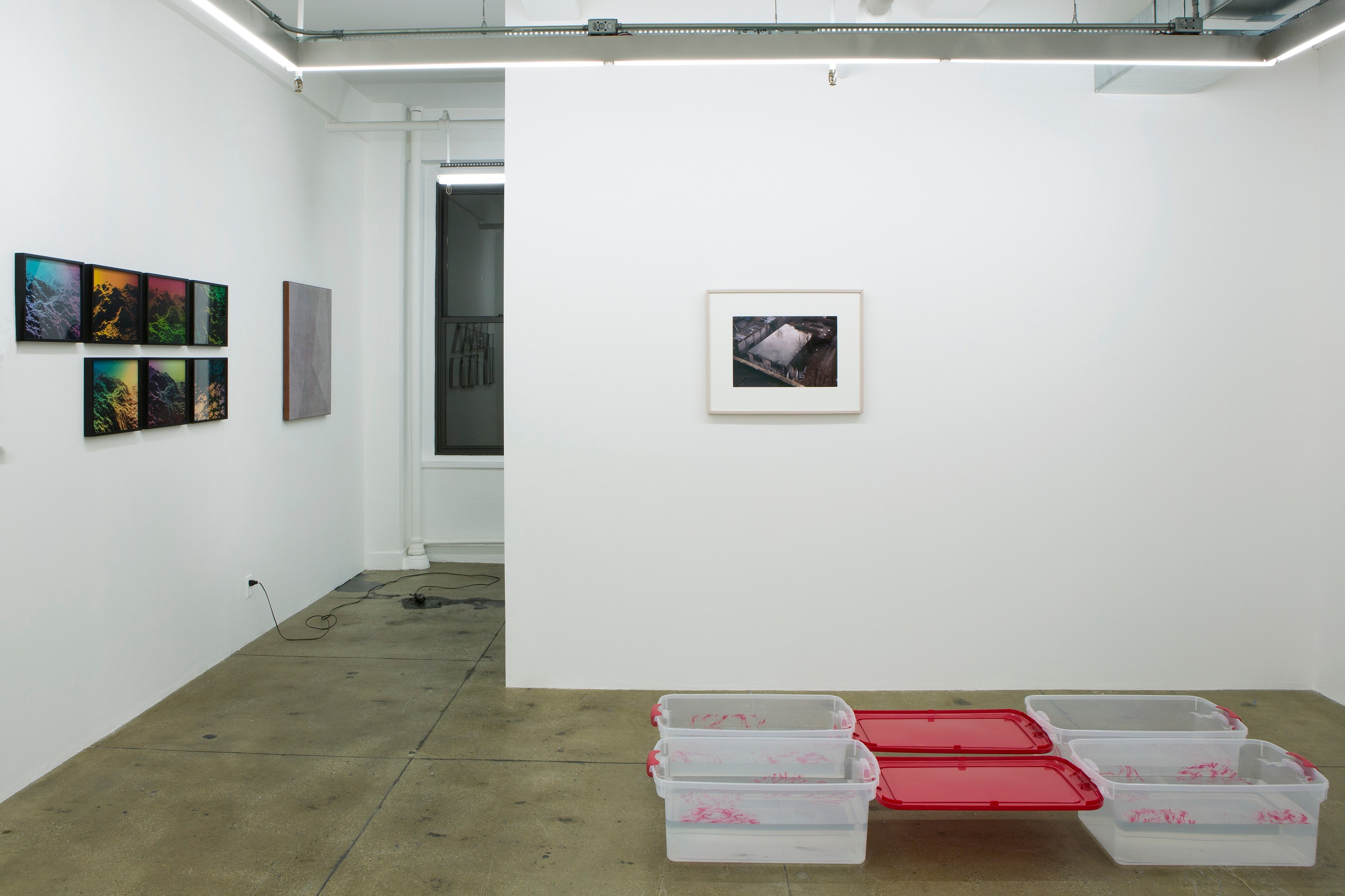 Fearful Symmetry, Fearful Symmetry at Galerie Balice Hertling, photo 5