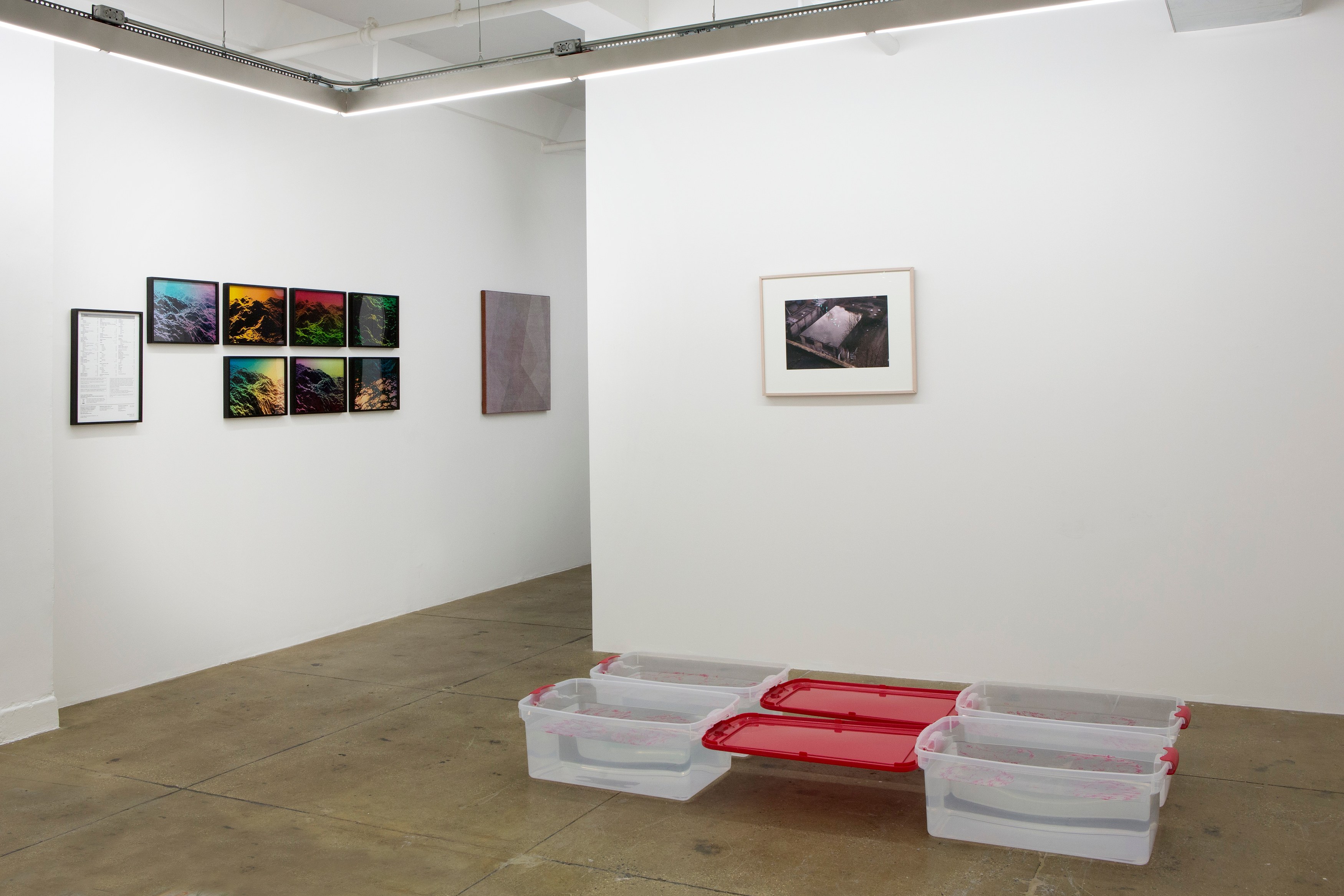Fearful Symmetry, Fearful Symmetry at Galerie Balice Hertling, photo 6