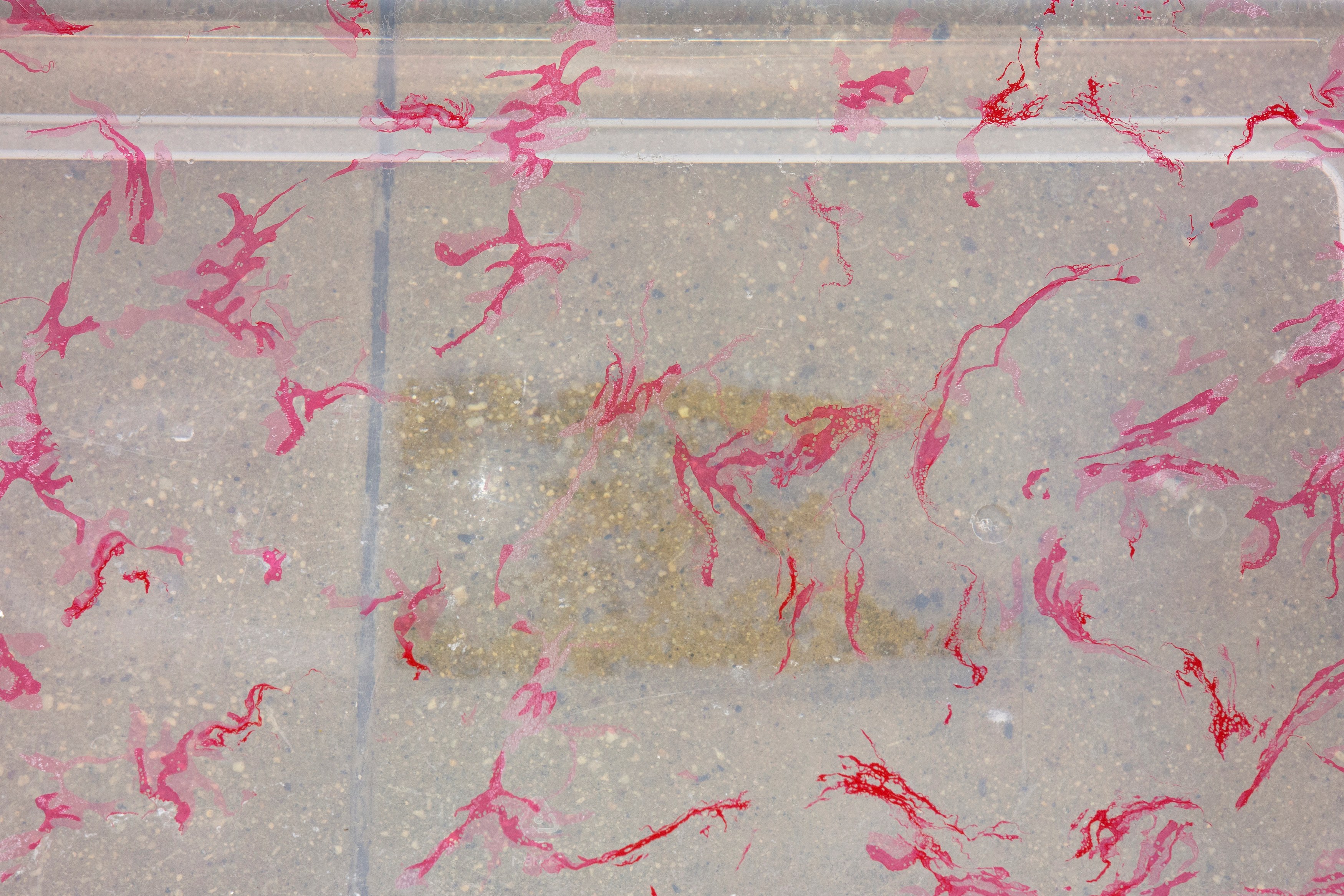 Fearful Symmetry, Fearful Symmetry at Galerie Balice Hertling, photo 9