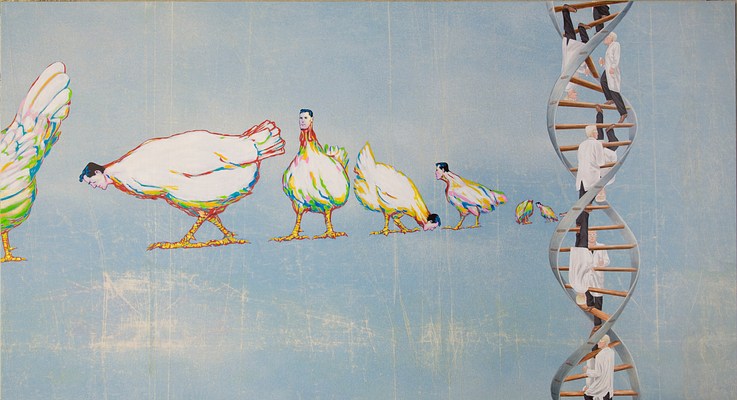 Image 7 of 16