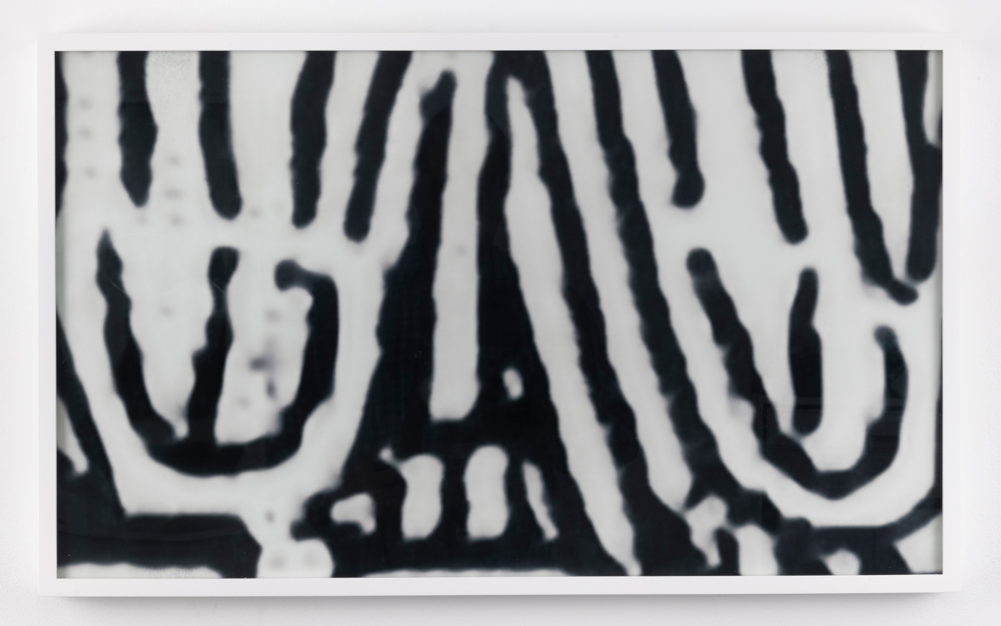 Steffani Jemison, Untitled at Kai Matsumiya, photo 20