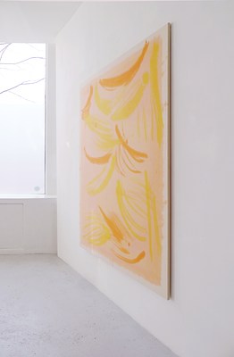 Image 7 of 16