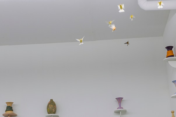 Image 4 of 27