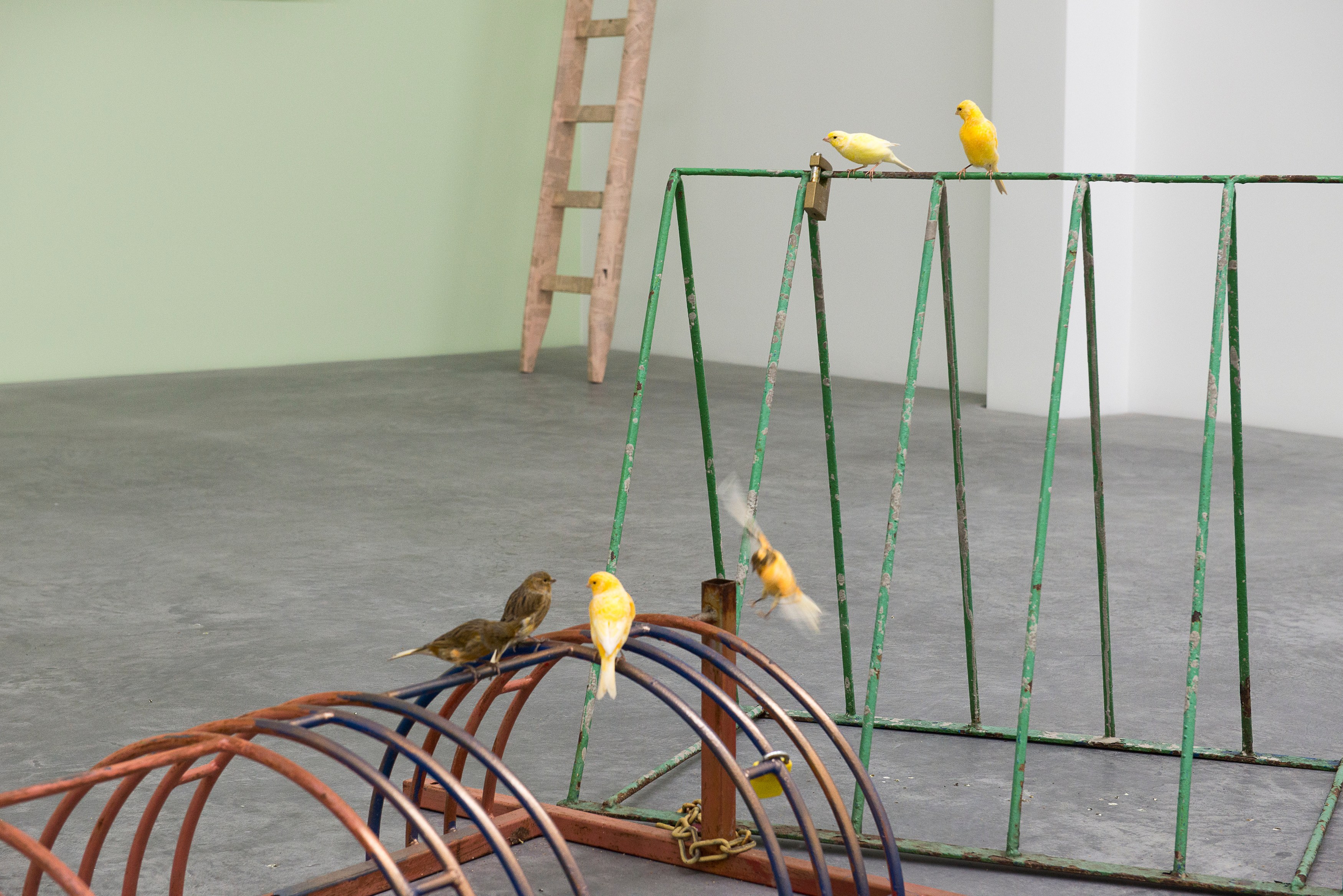 Marc Camille Chaimowicz, Klara Lidén, Manfred Pernice, Forty and Forty... at MD 72, photo 6