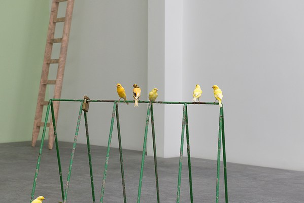 Image 7 of 27