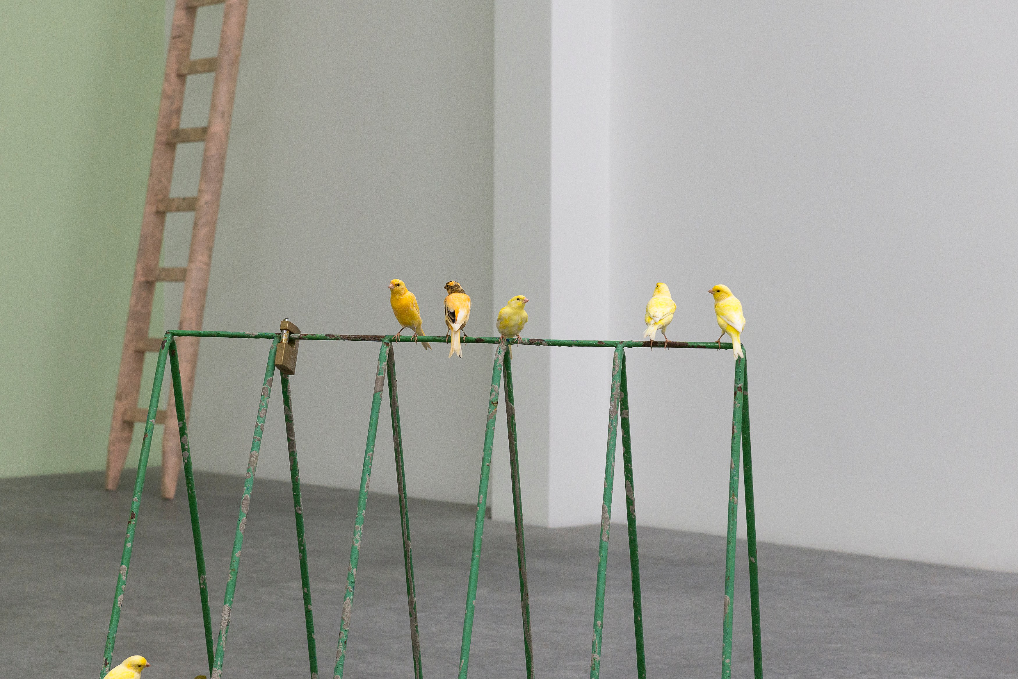 Marc Camille Chaimowicz, Klara Lidén, Manfred Pernice, Forty and Forty... at MD 72, photo 7