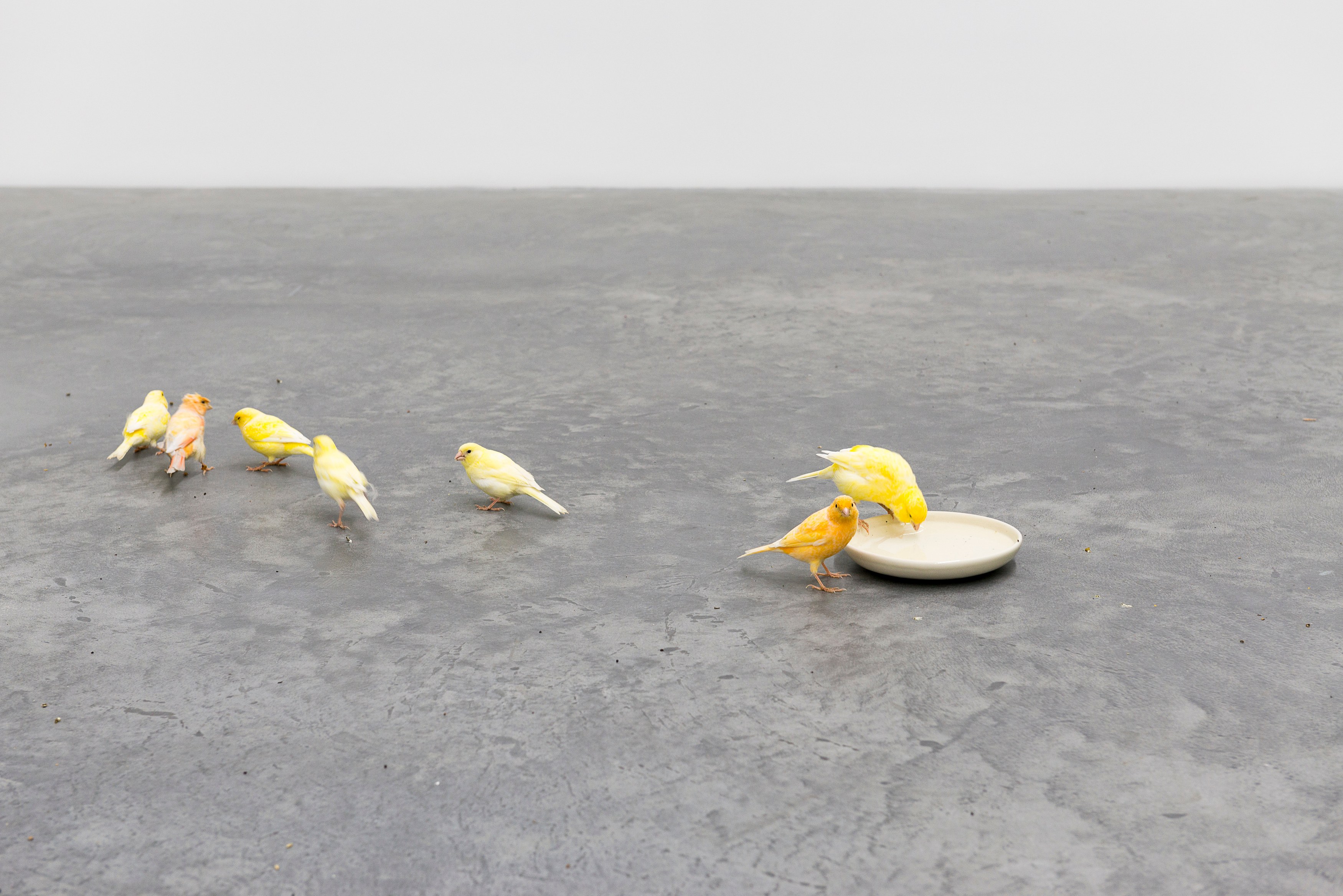 Marc Camille Chaimowicz, Klara Lidén, Manfred Pernice, Forty and Forty... at MD 72, photo 9