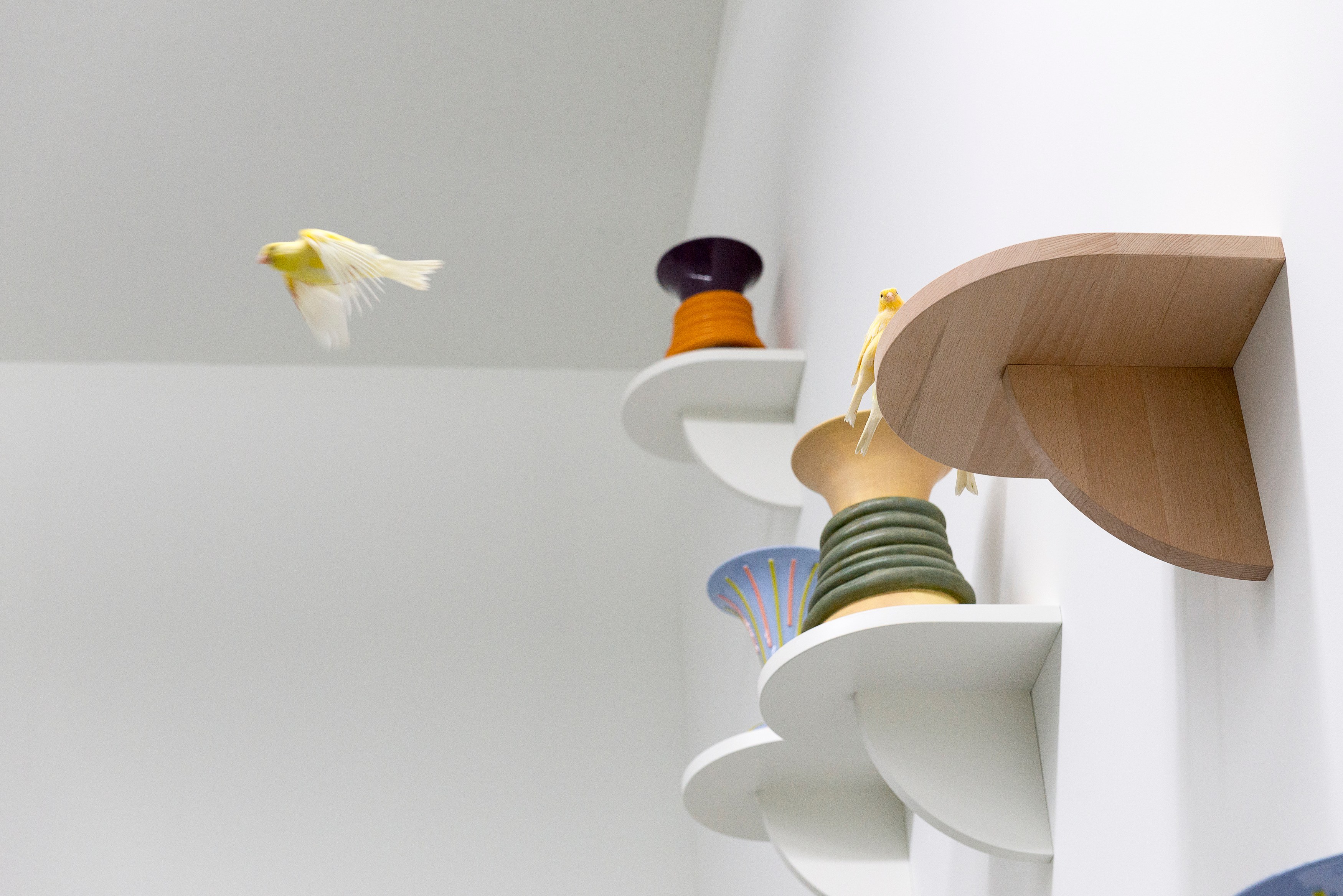 Marc Camille Chaimowicz, Klara Lidén, Manfred Pernice, Forty and Forty... at MD 72, photo 14