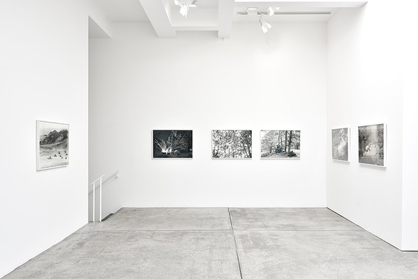 Image 11 of 31