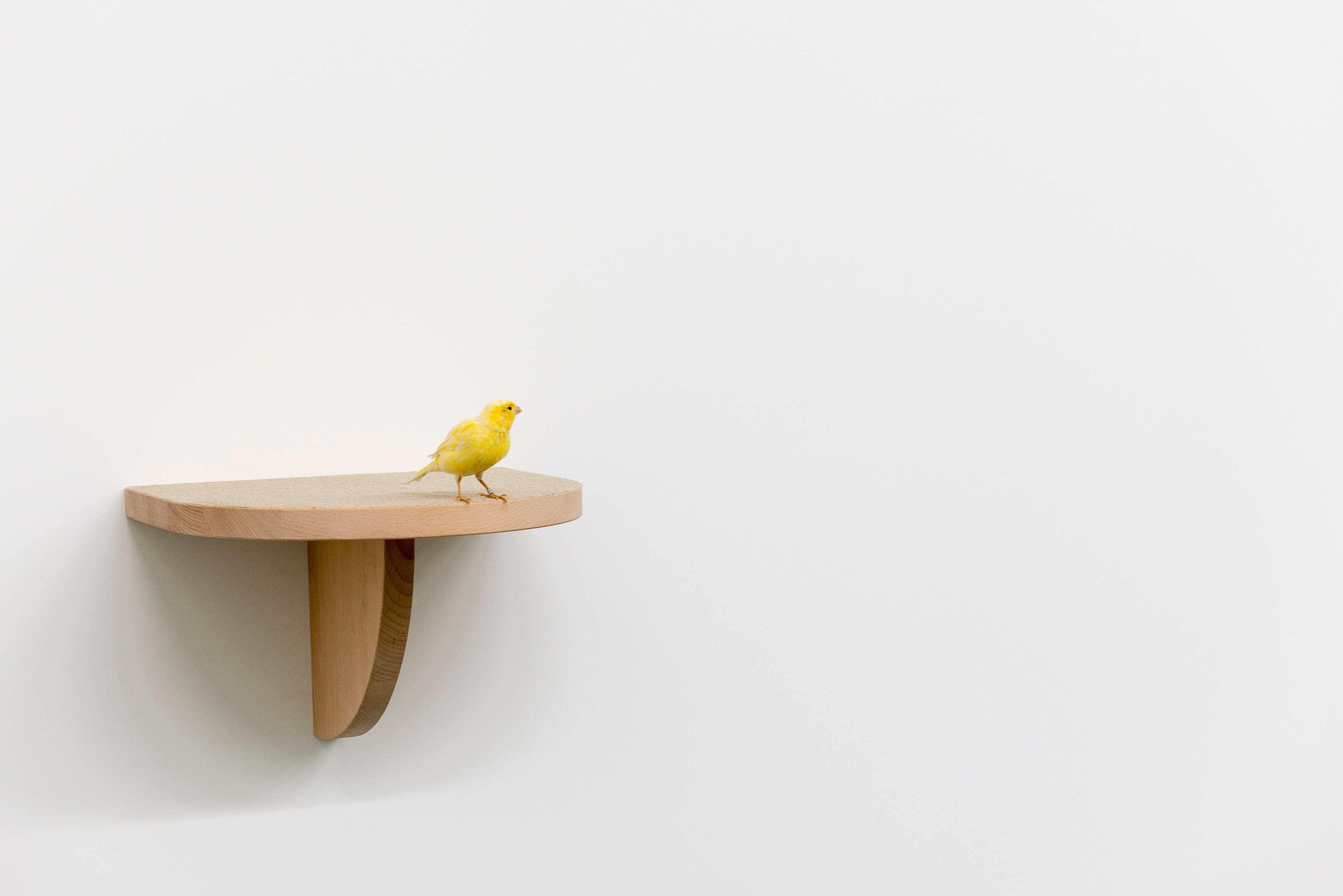 Marc Camille Chaimowicz, Klara Lidén, Manfred Pernice, Forty and Forty... at MD 72, photo 19