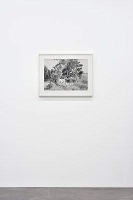 Image 17 of 31