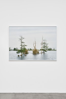 Image 18 of 31