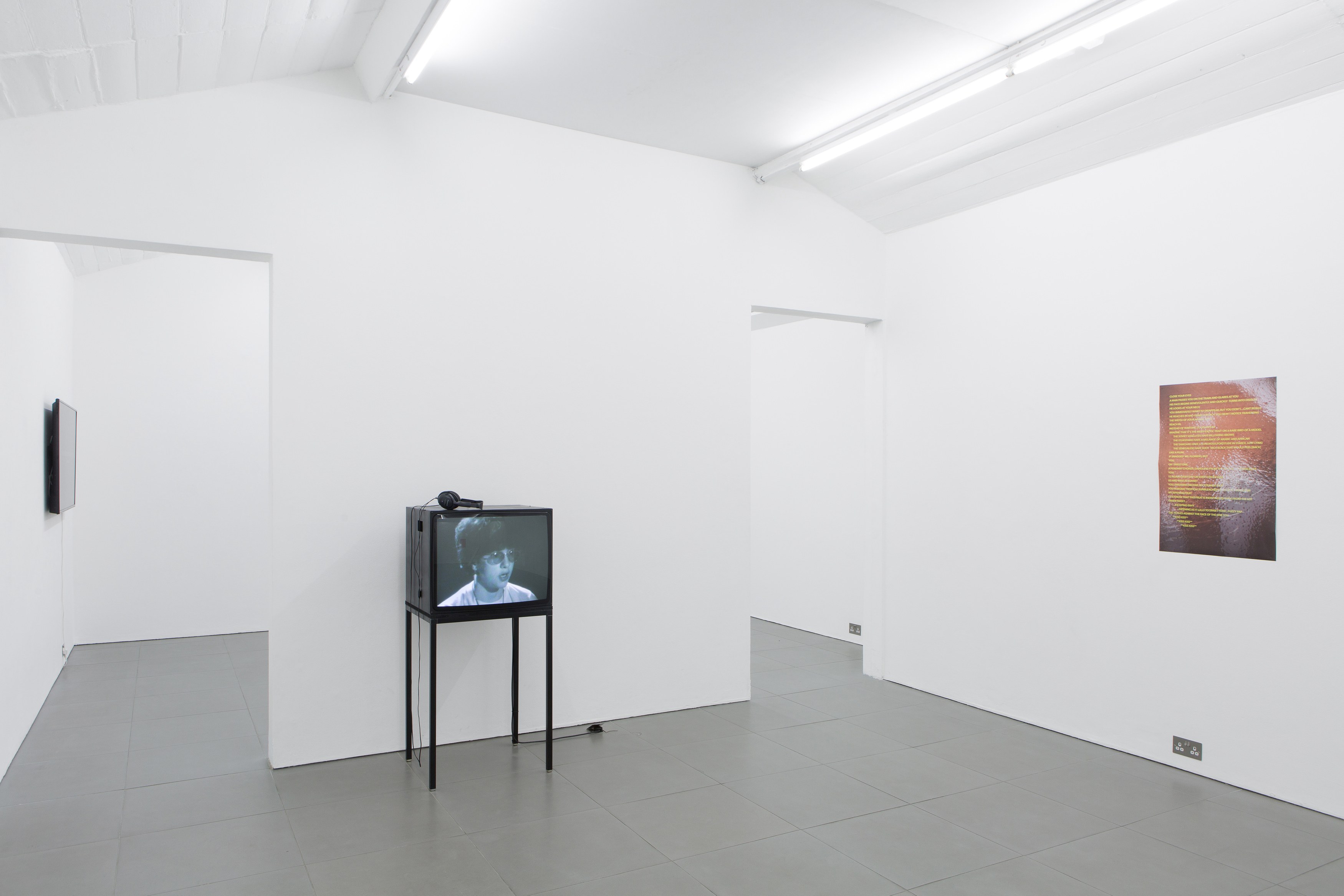 Perverts, Perverts at Cell Project Space, photo 6