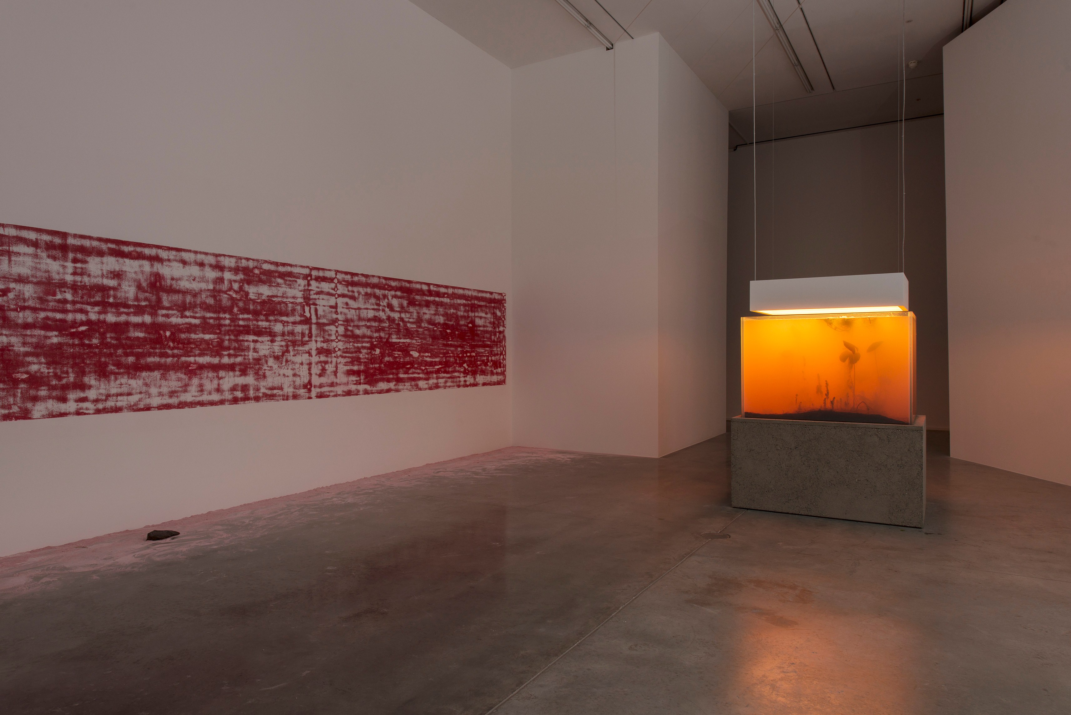 Pierre Huyghe, IN. BORDER. DEEP at Hauser & Wirth, photo 2