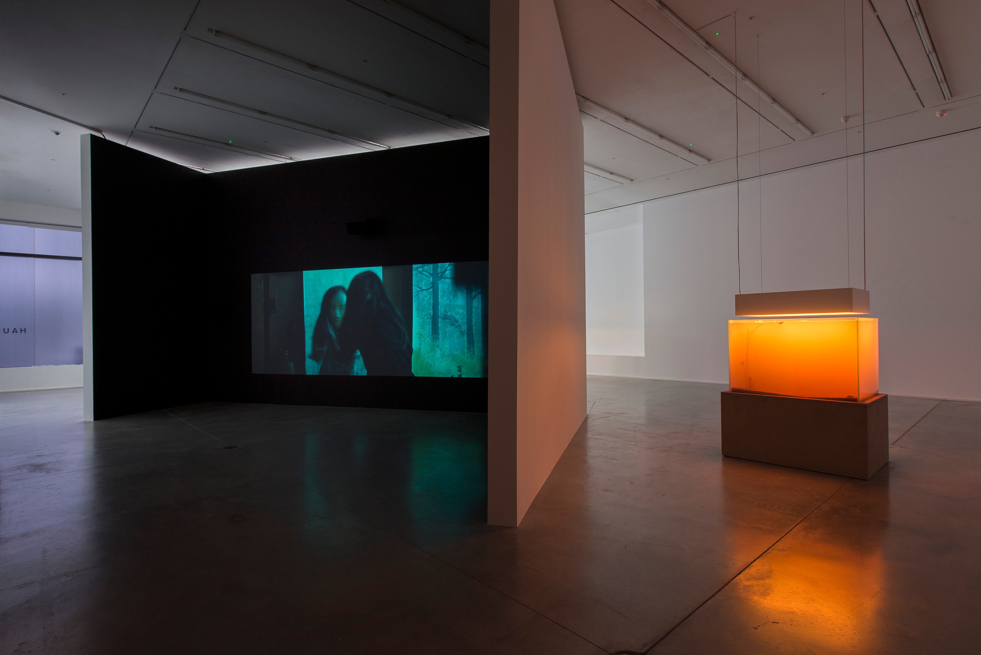 Pierre Huyghe, IN. BORDER. DEEP at Hauser & Wirth, photo 3