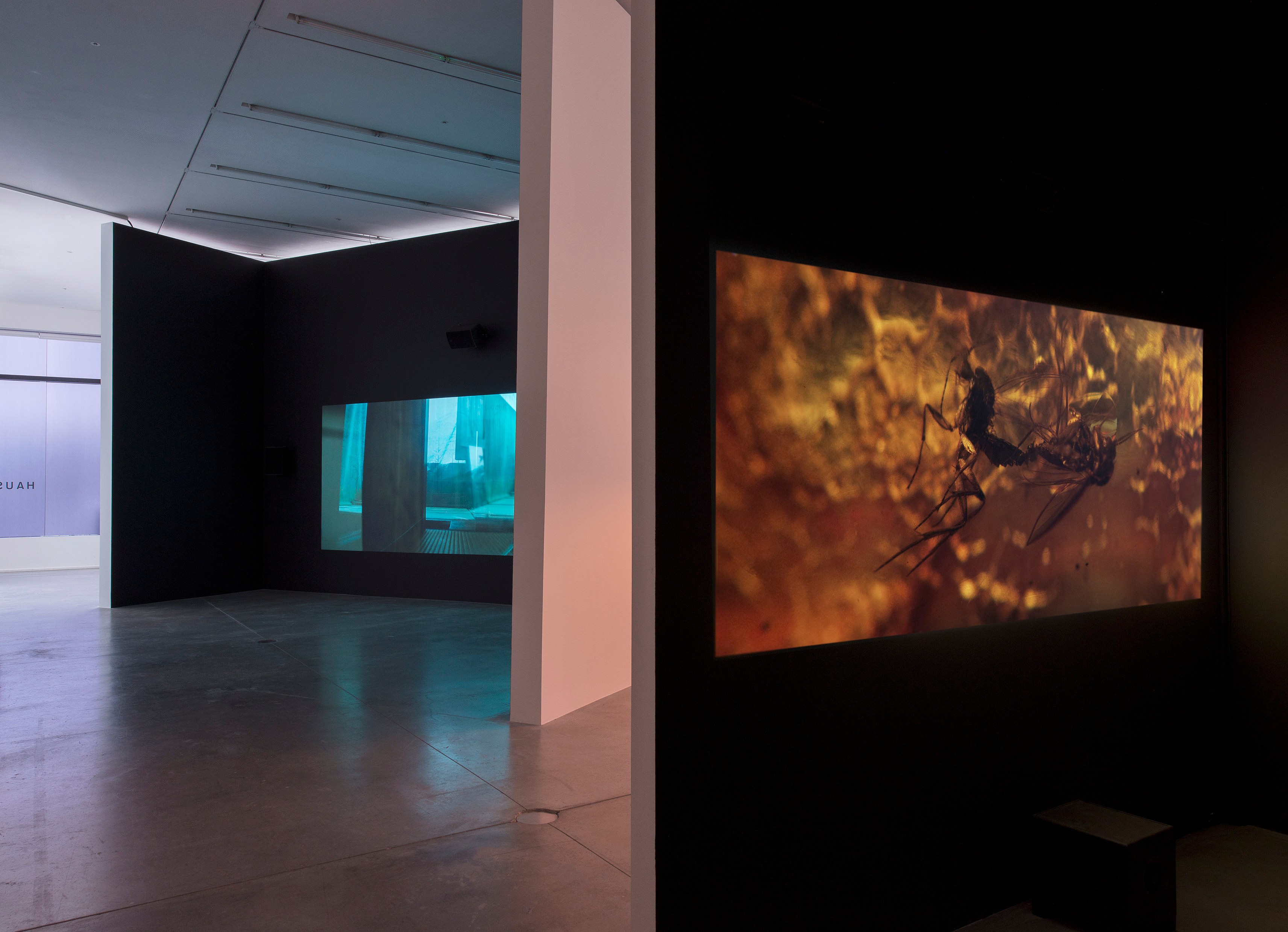 Pierre Huyghe, IN. BORDER. DEEP at Hauser & Wirth, photo 4