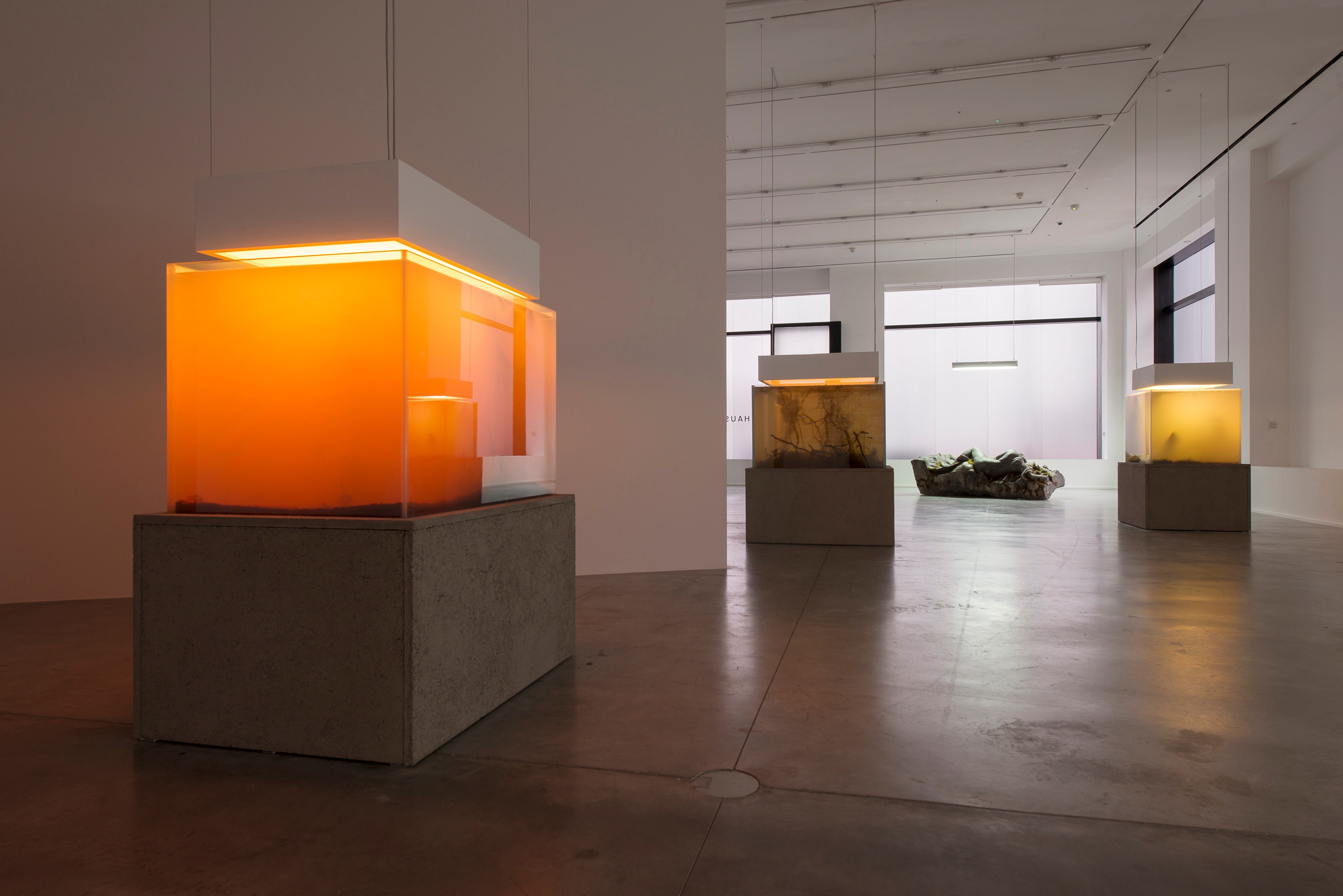 Pierre Huyghe, IN. BORDER. DEEP at Hauser & Wirth, photo 5