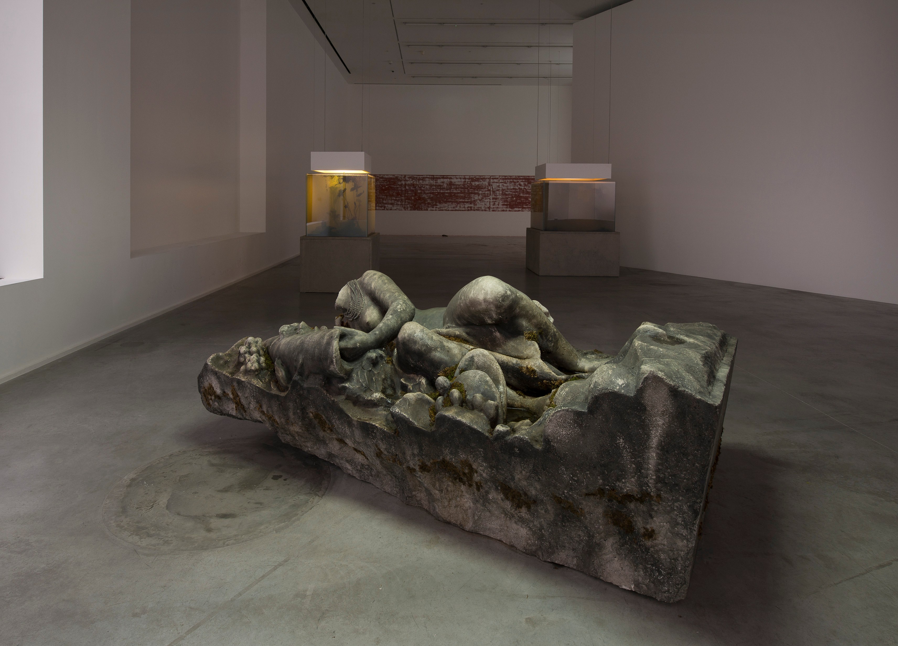 Pierre Huyghe, IN. BORDER. DEEP at Hauser & Wirth, photo 6