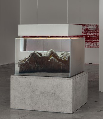 Image 7 of 14