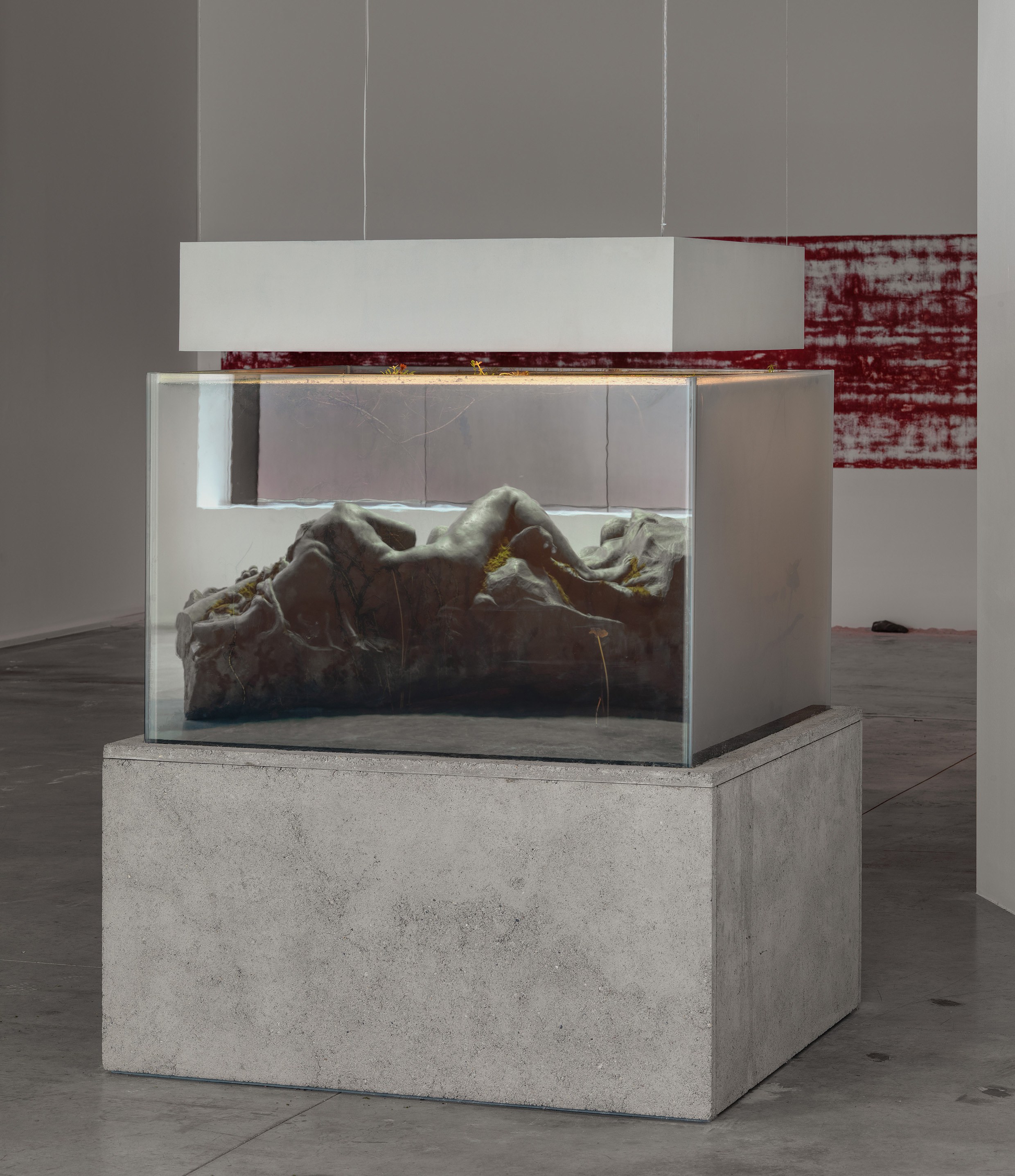 Pierre Huyghe, IN. BORDER. DEEP at Hauser & Wirth, photo 7