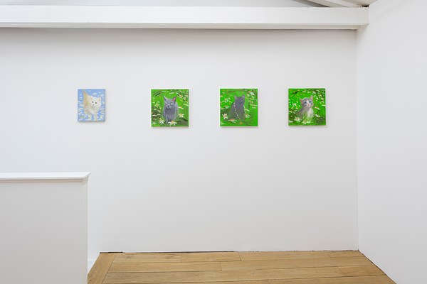 Image 2 of 33