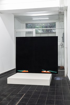 Image 1 of 17