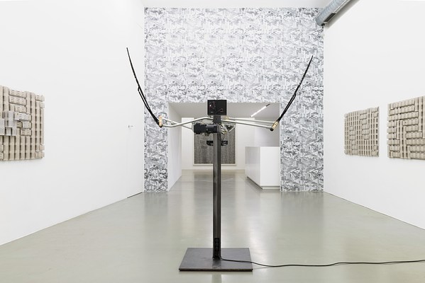Image 2 of 16