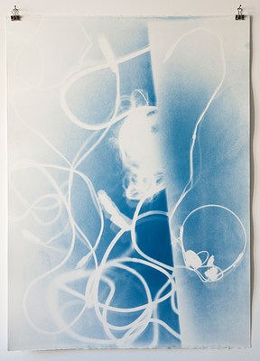 Image 11 of 16