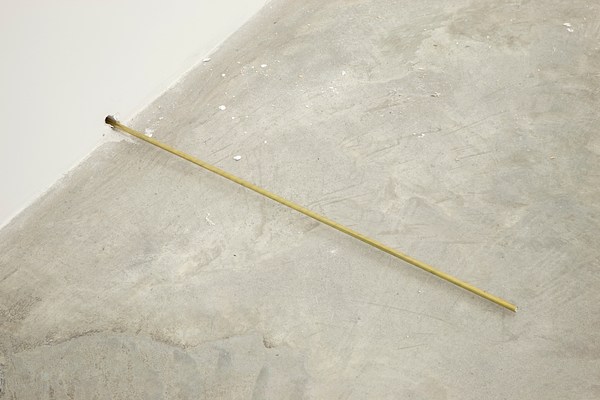 Image 15 of 19