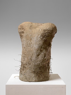 Image 8 of 22