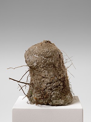 Image 10 of 22