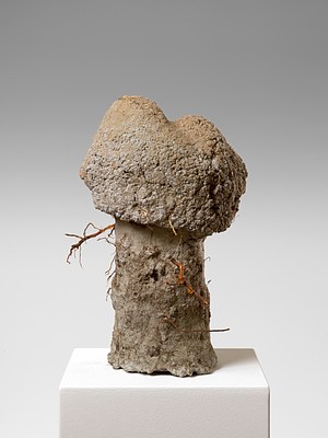 Image 11 of 22