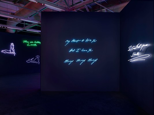 Tracey Emin at Museum of Contemporary Art North Miami