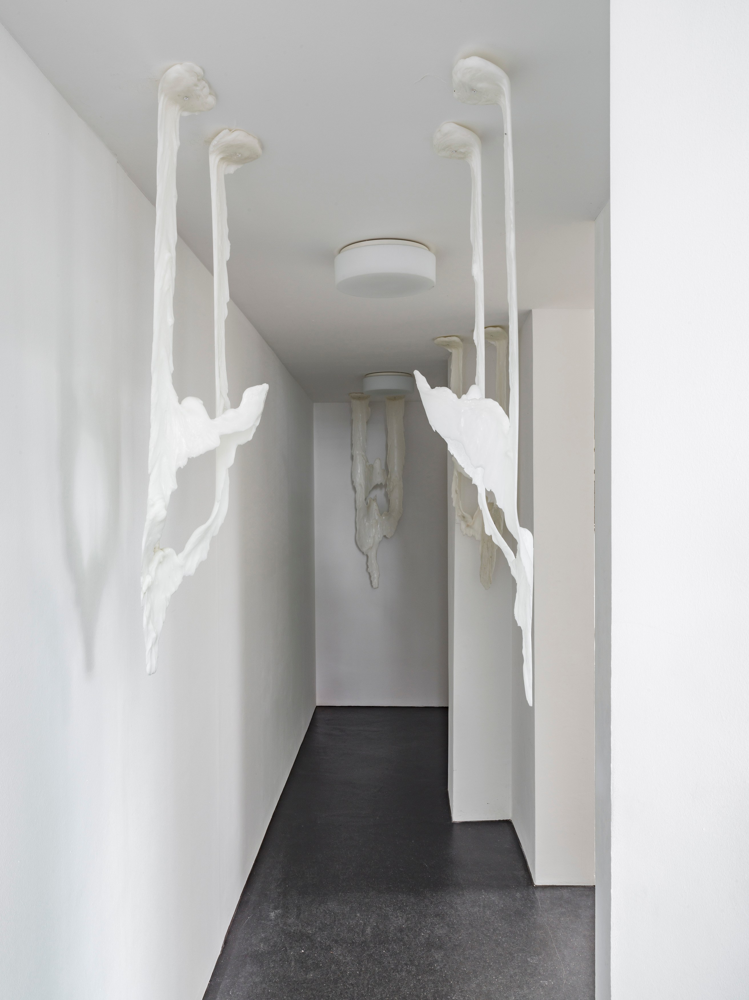 Raphaela Vogel, Vogelspinne at BQ, photo 8