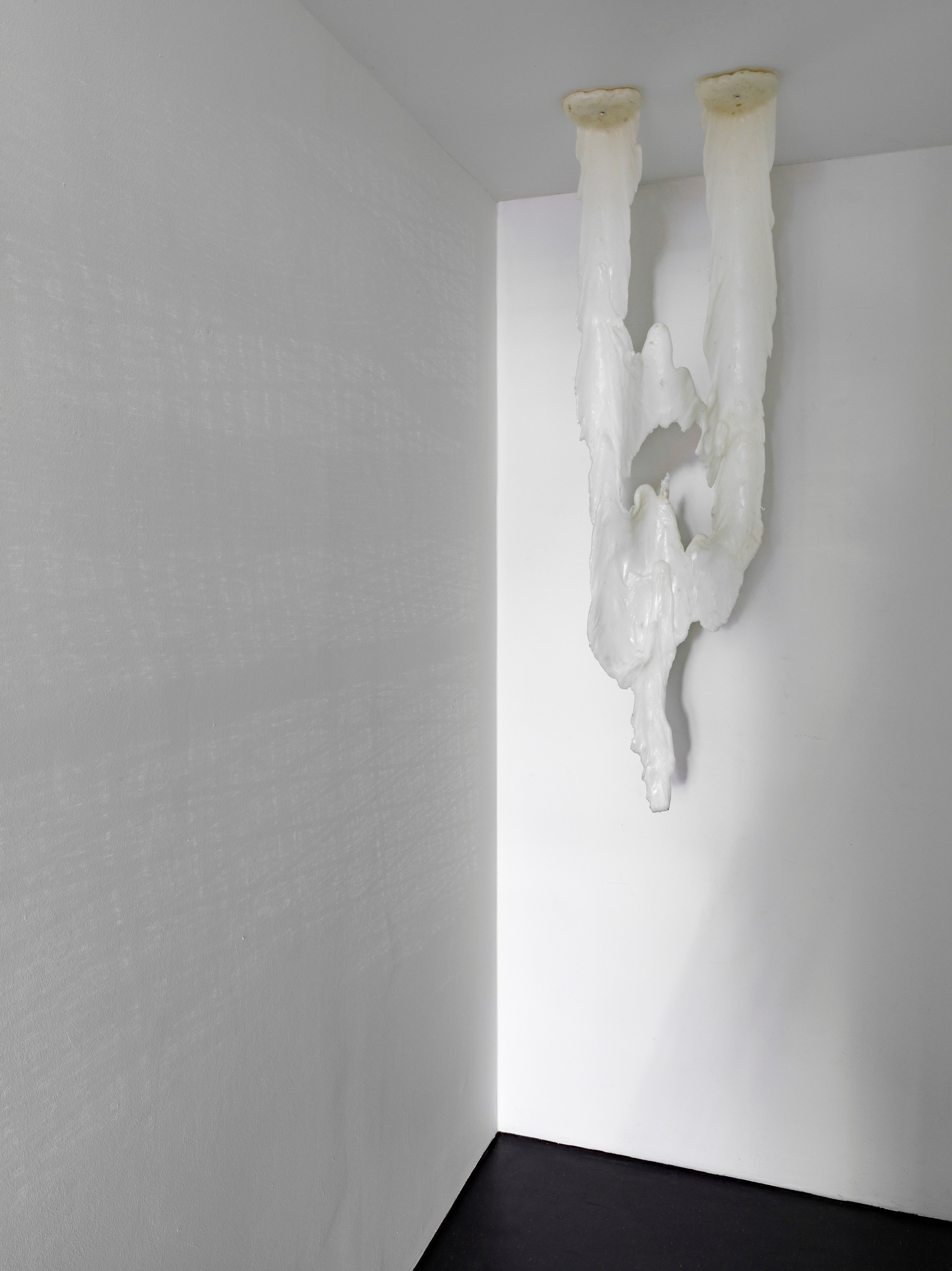 Raphaela Vogel, Vogelspinne at BQ, photo 9