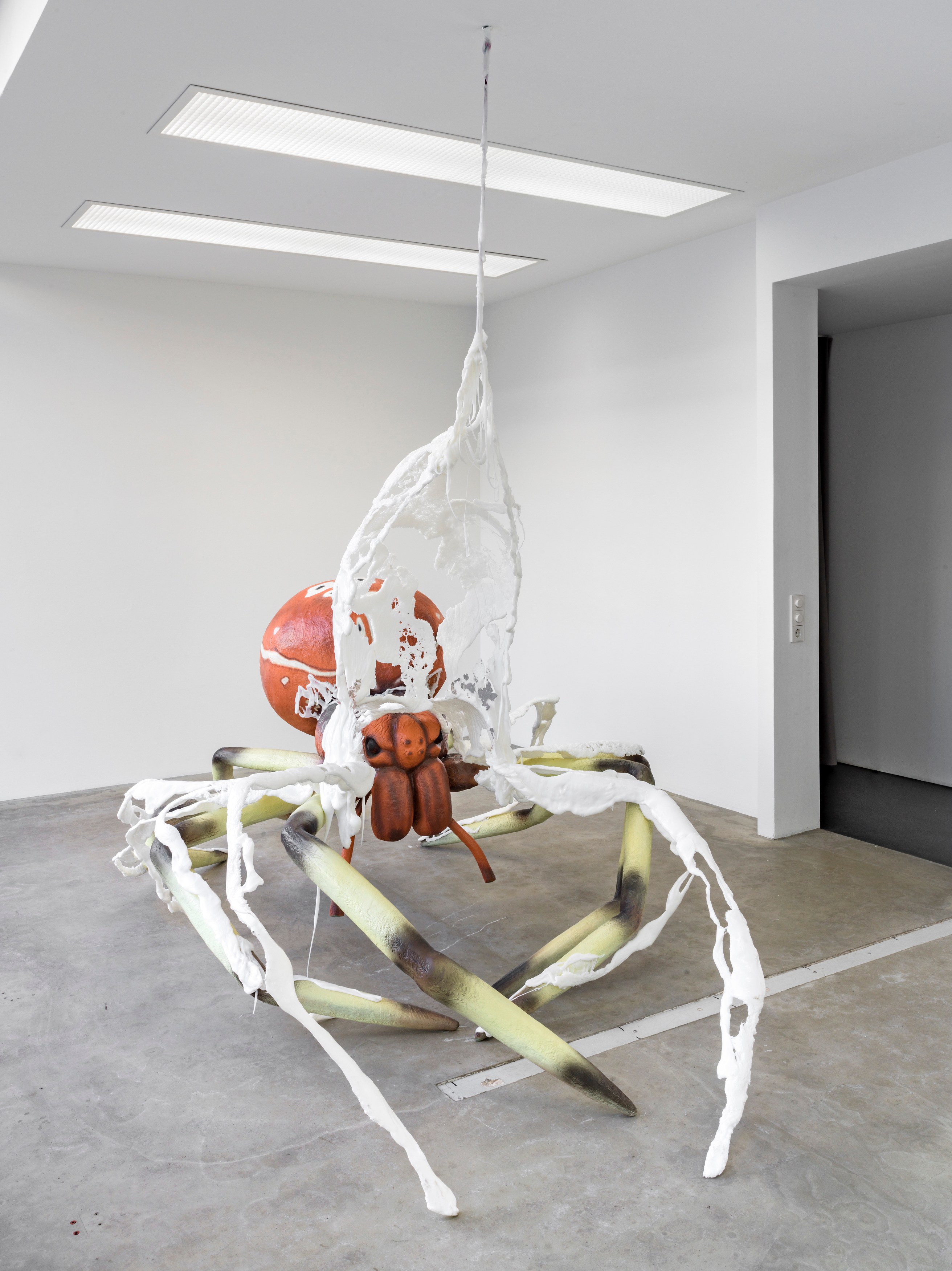 Raphaela Vogel, Vogelspinne at BQ, photo 20