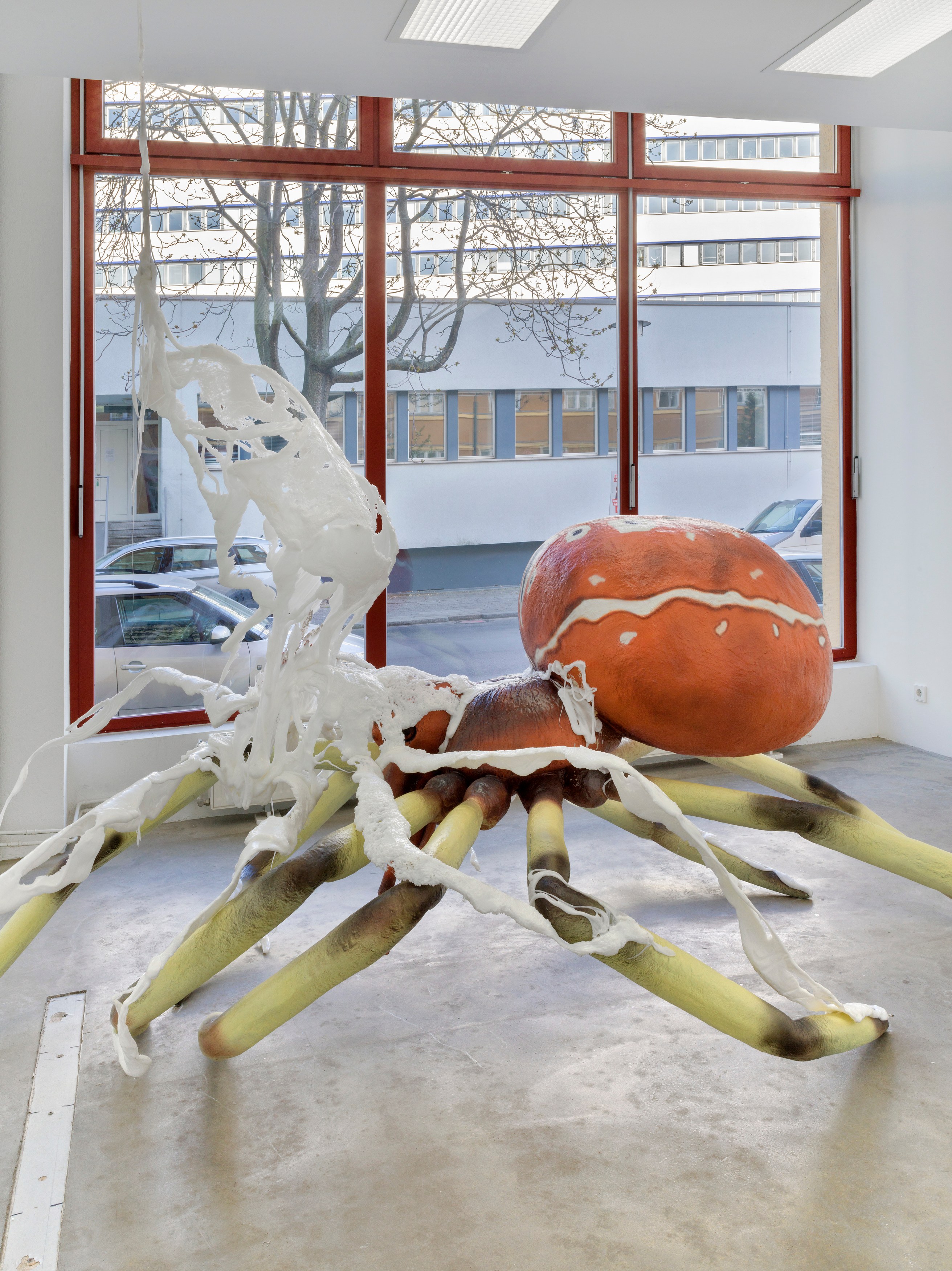 Raphaela Vogel, Vogelspinne at BQ, photo 21