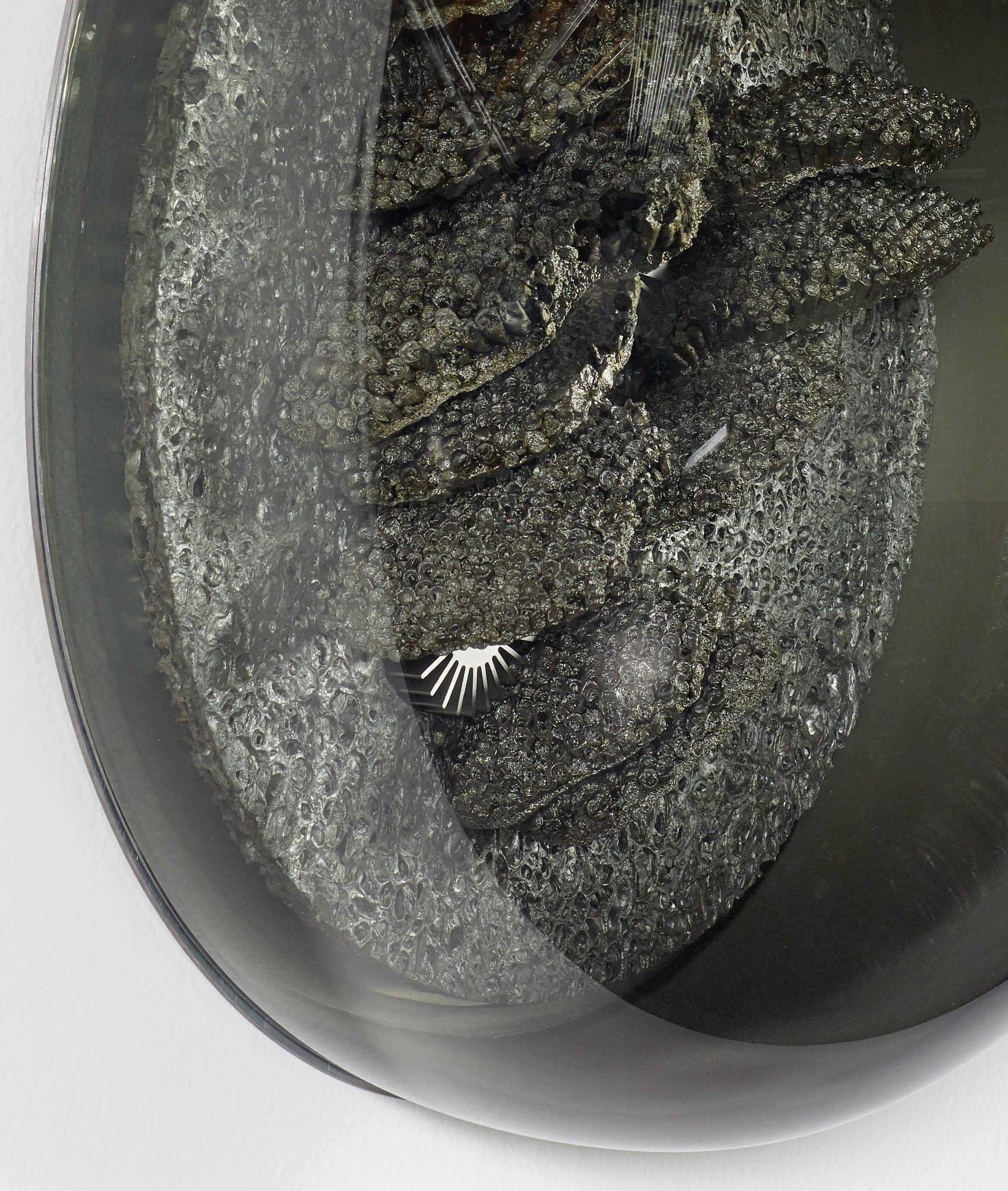 Cooper Jacoby, Bait at Freedman Fitzpatrick, photo 21